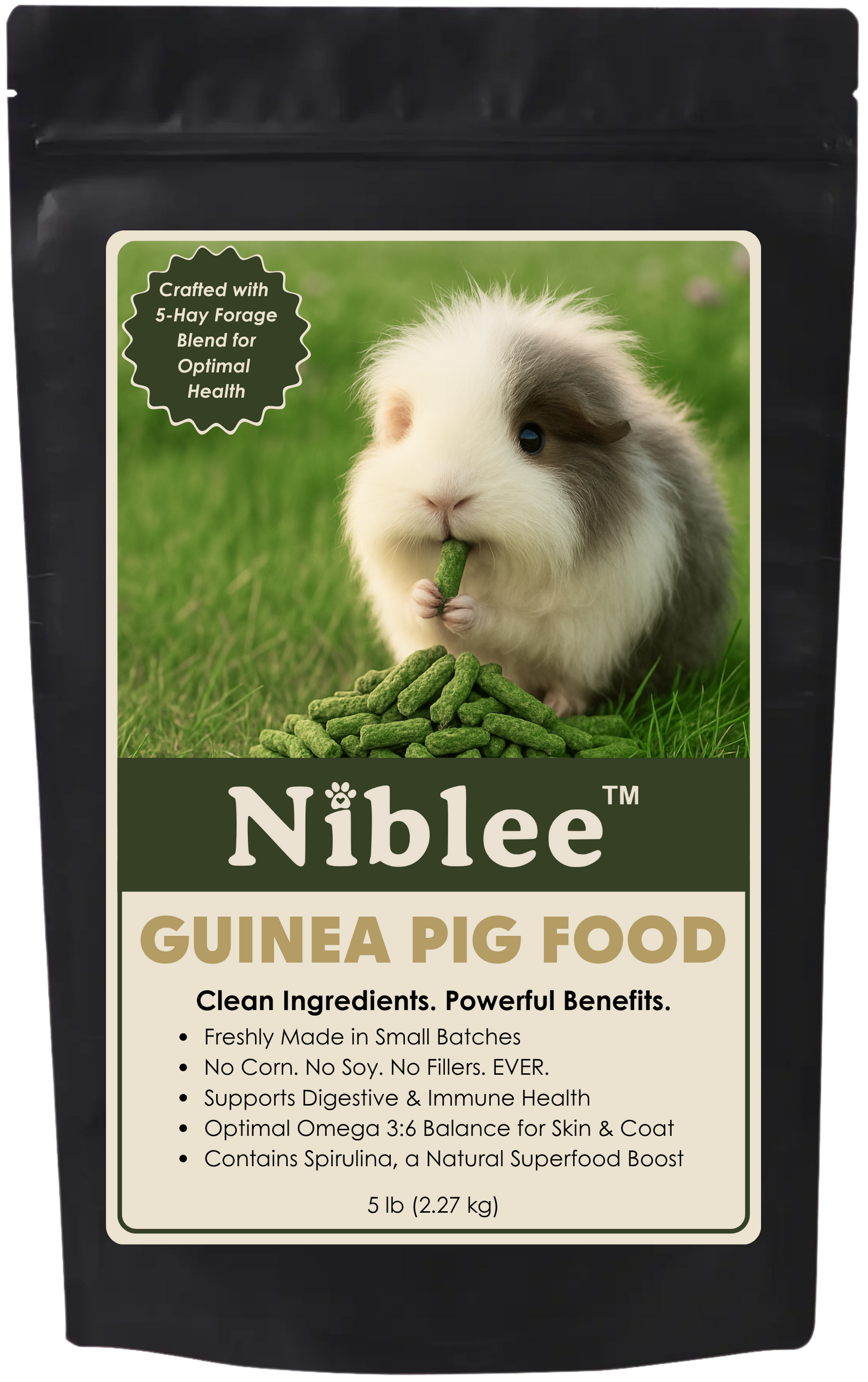 Guinea Pig (Cavy)