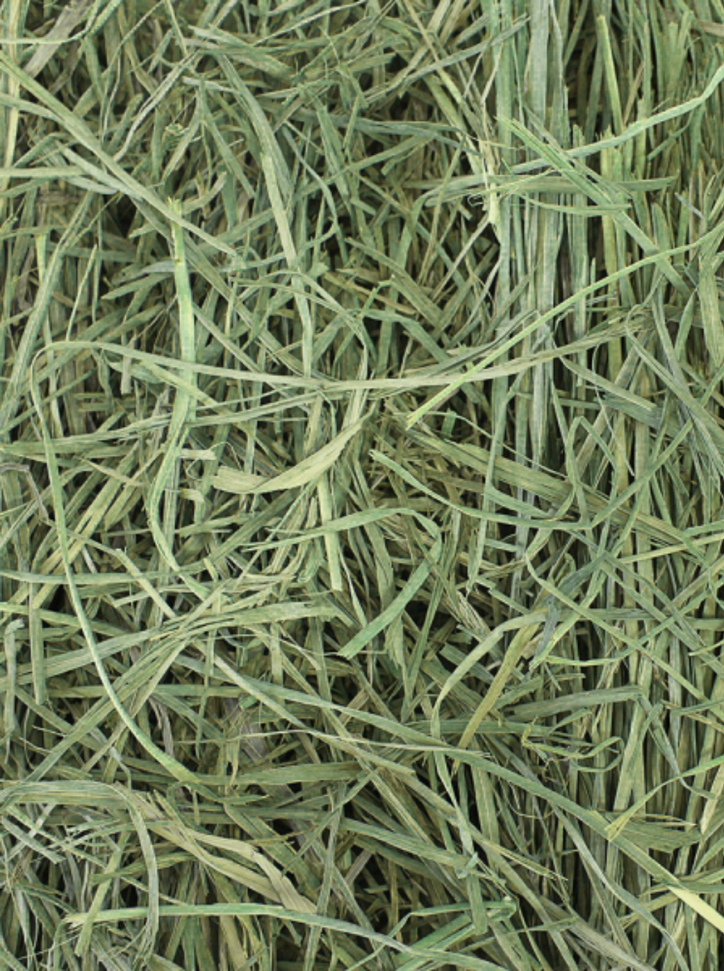 3lb box of West Coast High Quality Orchard Hay